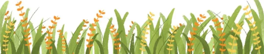 切尔滕纳姆贵族学院,切尔滕纳姆有什么学院