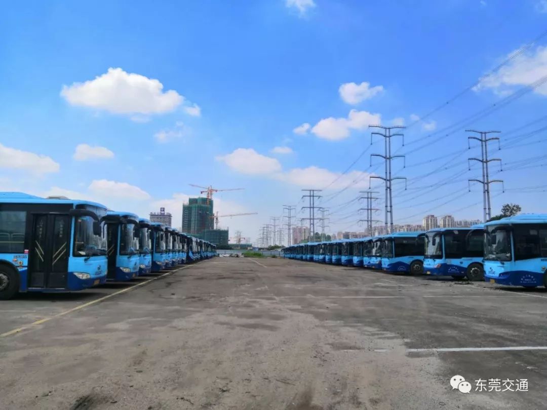 滨海新区3条公交线路调整设站,滨海湾新区公交线路图