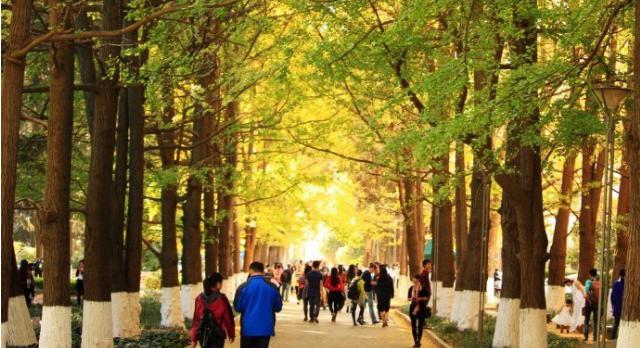 再见了网易云,再见了大美云县