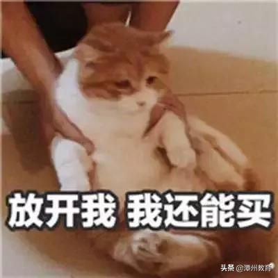 潭州教育：想要知道自己适合学什么吗，看看星座就知道了