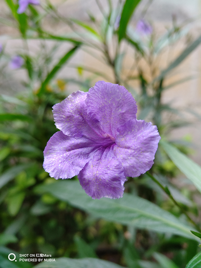 红魔手机mars评测视频,游戏手机红魔mars有什么亮点