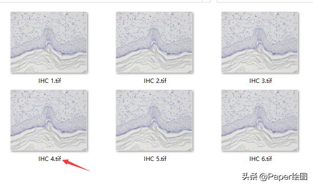 ps如何统一换尺寸和分辨率,ps如何快速更改多个图片尺寸