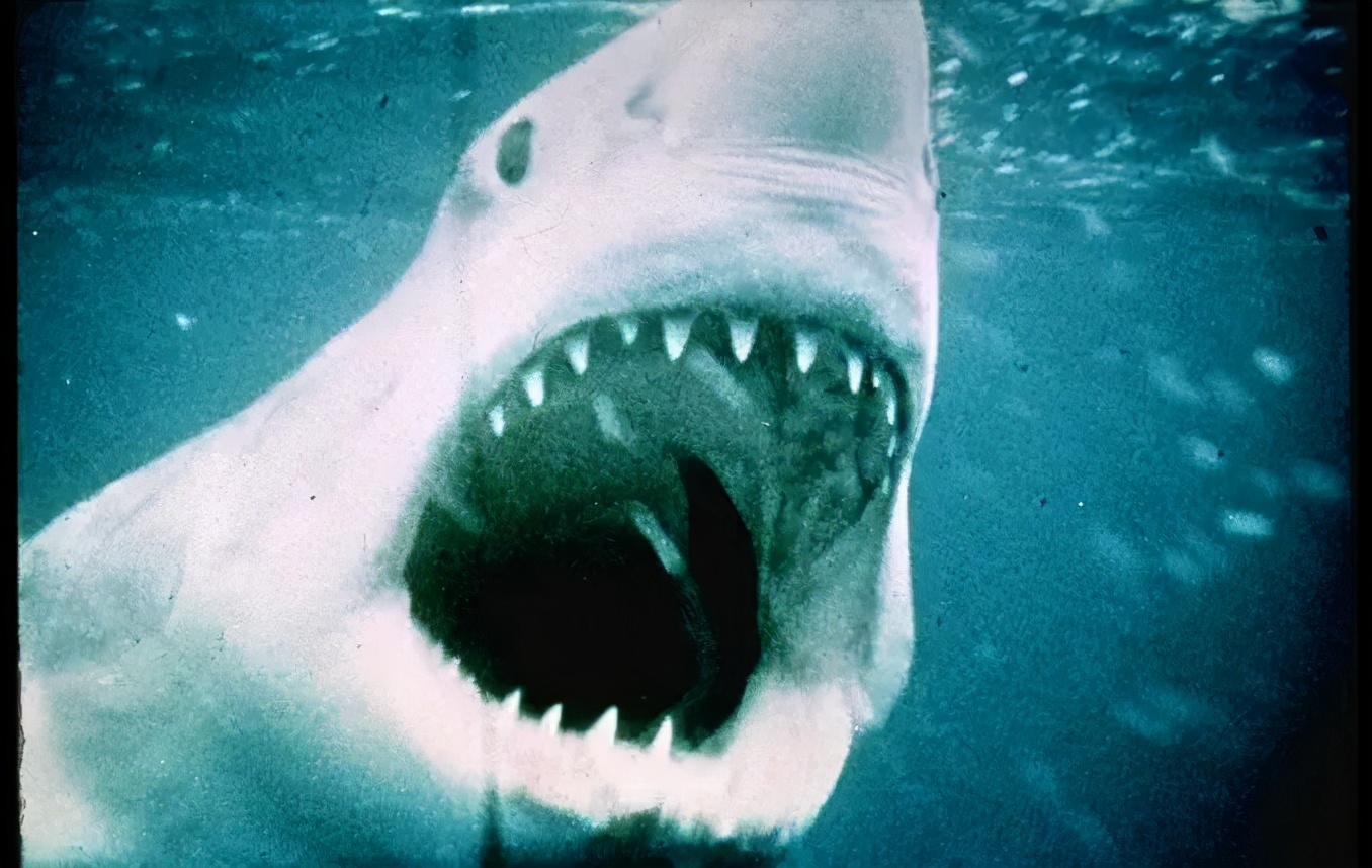 怪兽片盘点,年度最强怪兽片