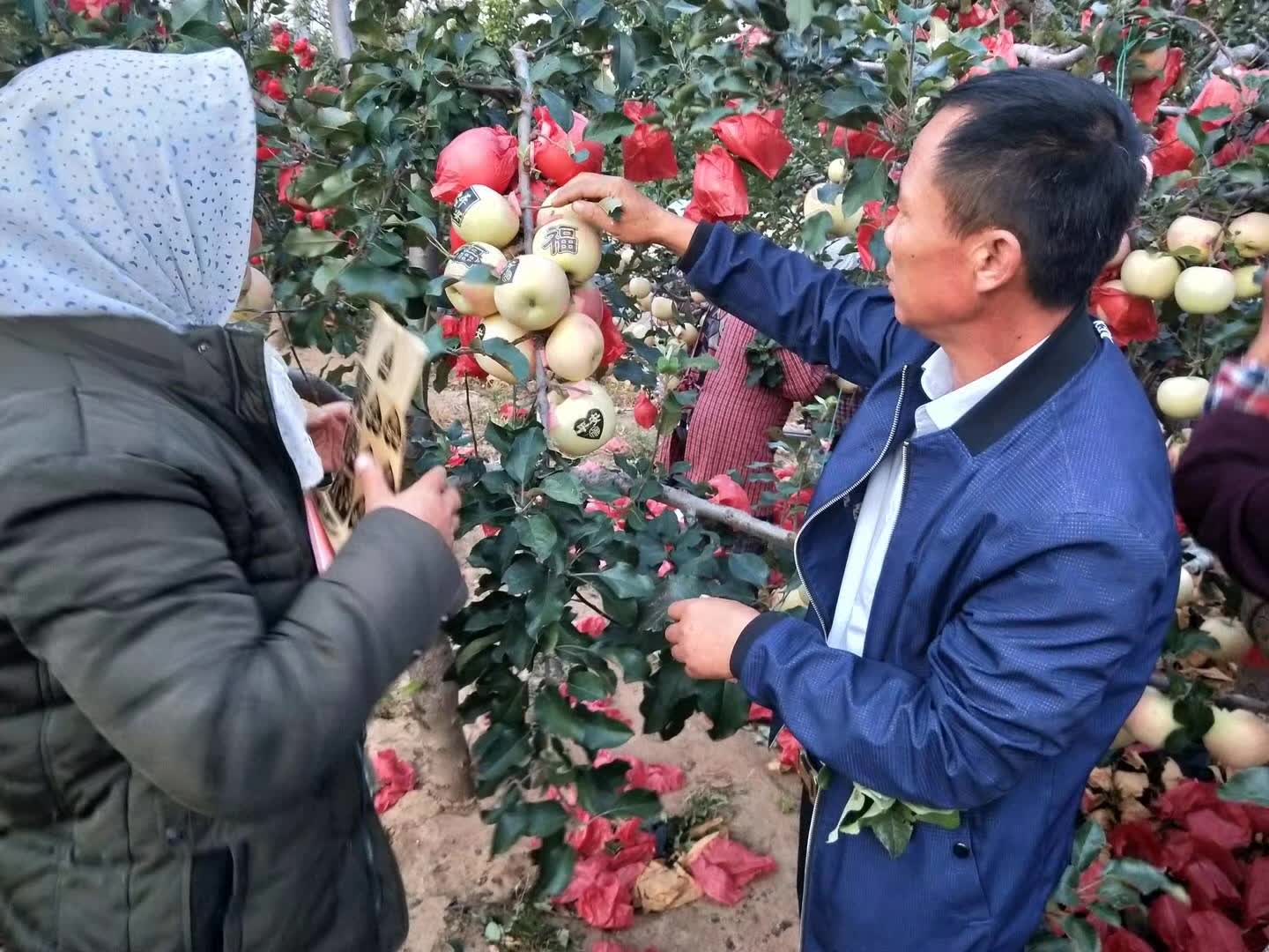 果农致富新模式,孙家栋自主创新