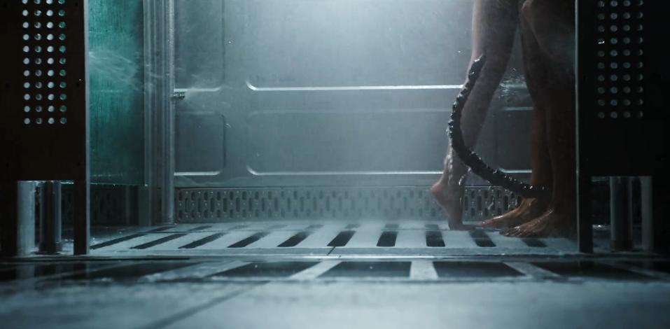 异形到底有多少种形态,异形到底存在吗