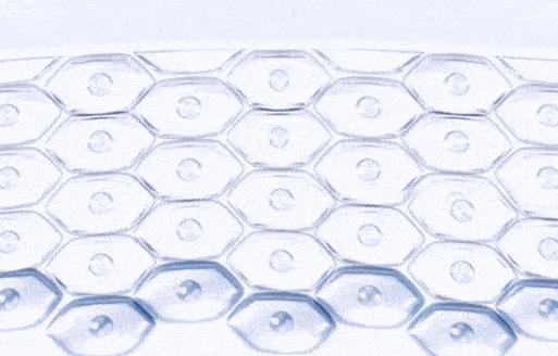 恋爱中的郑爽，清爽如夏风