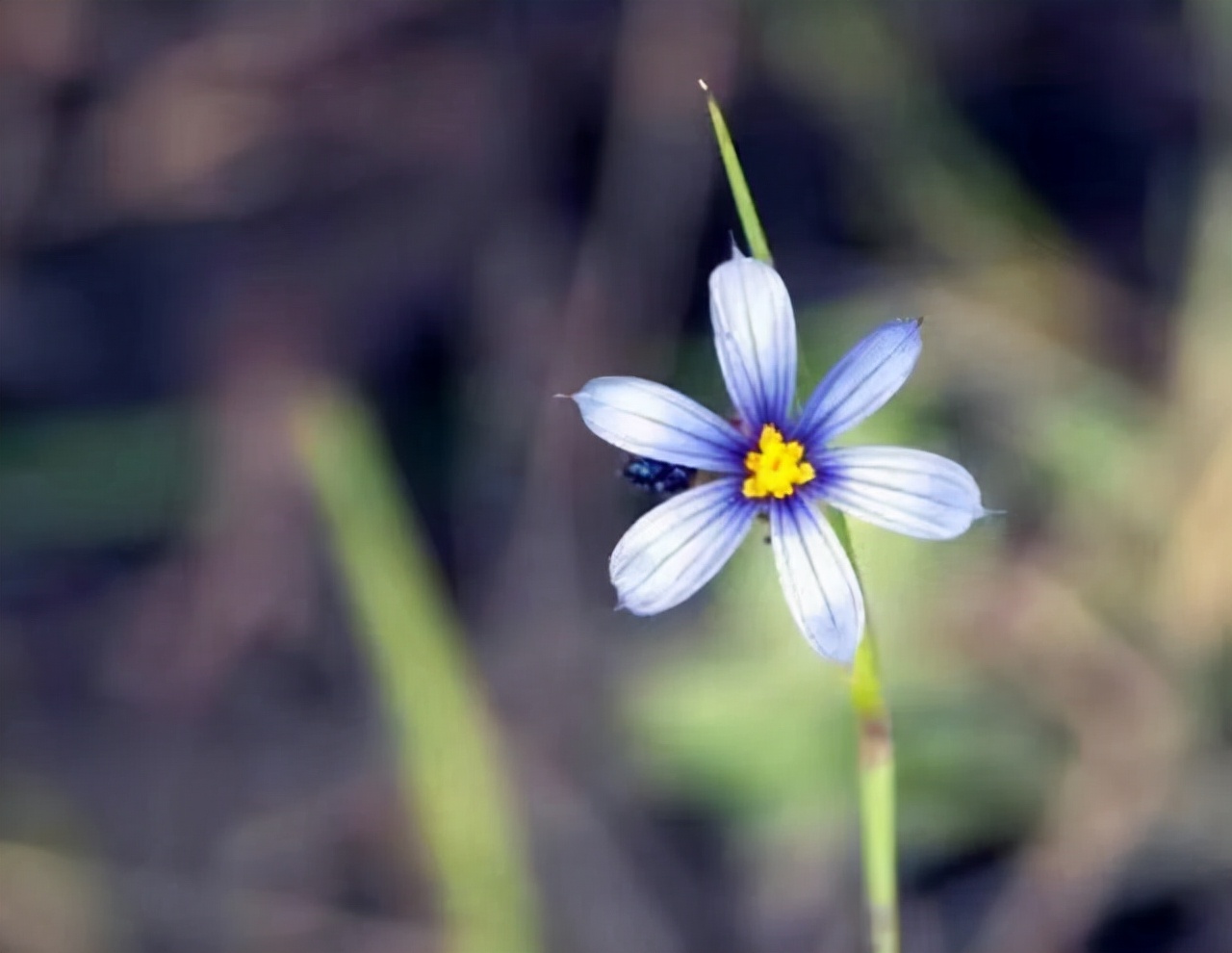 中年女人越过越好的三种表现,中年女人最好生活状态