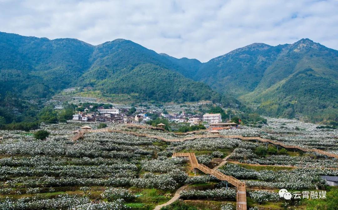 云霄一日游旅游攻略大全,国庆节云霄旅游攻略