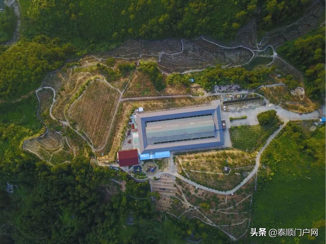 泰顺旅游攻略一日游最佳路线,泰顺最佳旅游路线