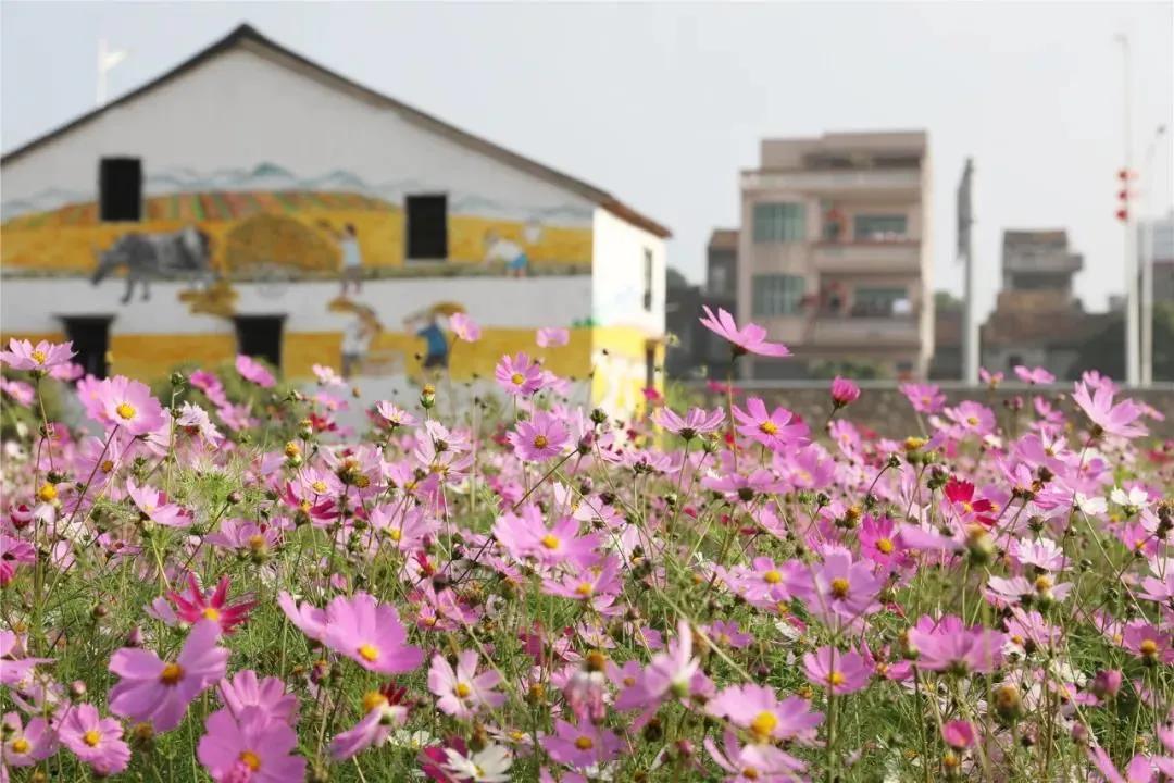 东莞可能成为超大城市吗,东莞市荣升