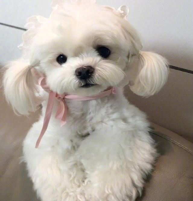 能让人笑到肚子疼的笑话简短,幽默笑死人的短句笑话大全