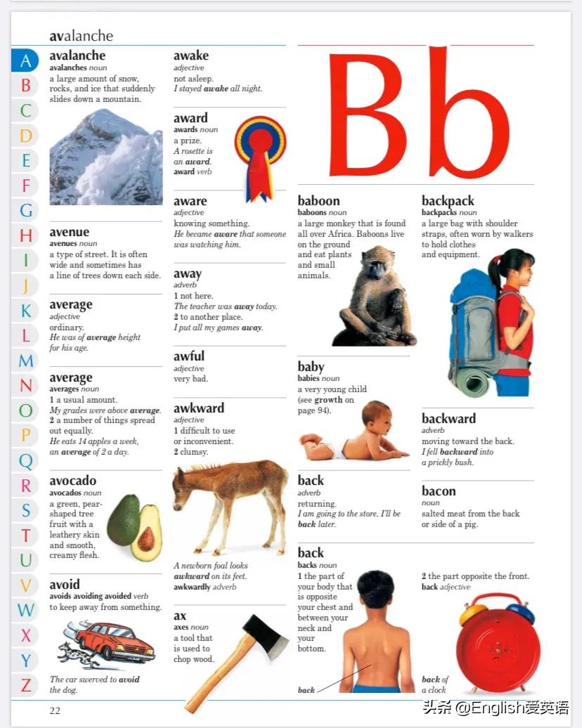 dk图书适合多大孩子,儿童英语字典图解