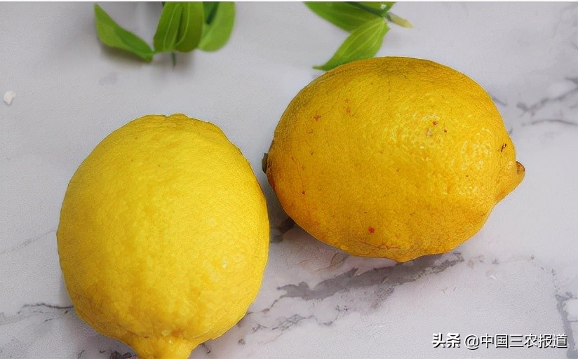 柠檬的酸度相当于醋的多少度,柠檬的糖度和酸度