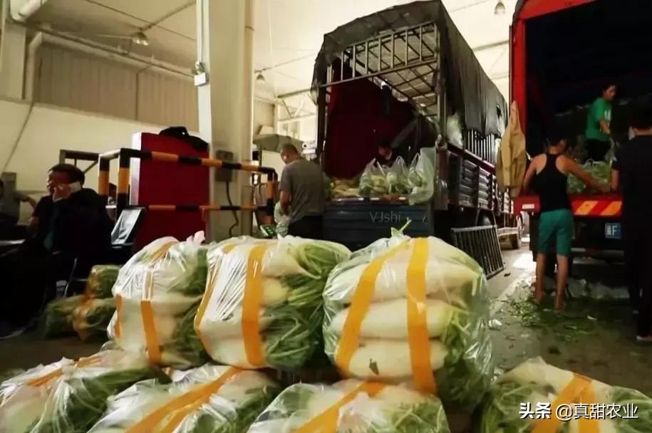 蔬菜代销的存在的问题,蔬菜市场代卖有什么风险吗