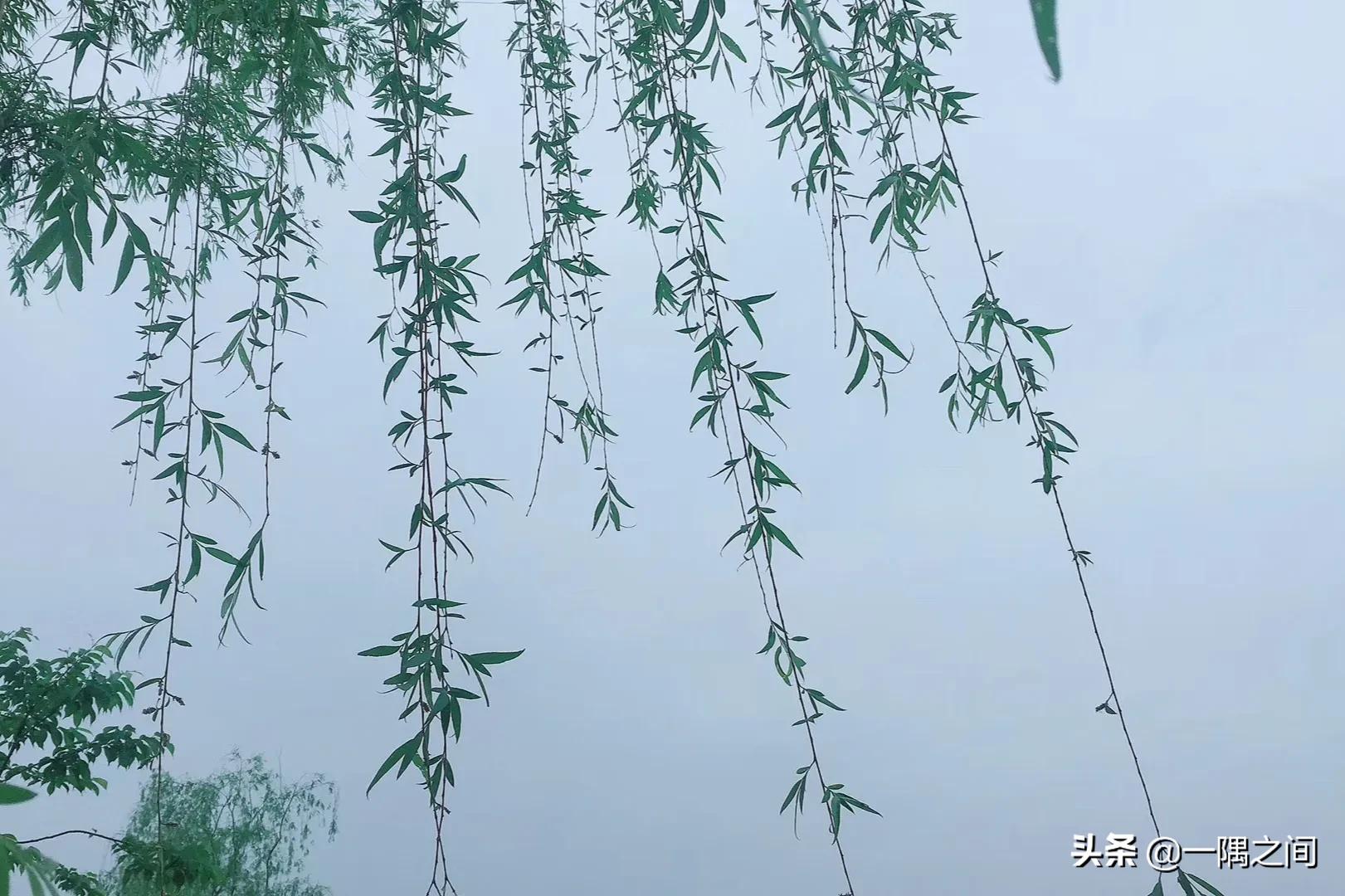 以诗会友词,以诗会友之系列