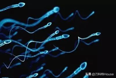 感染幽门螺杆菌，或可致不孕不育，深吻需谨慎可能是感染主要途径