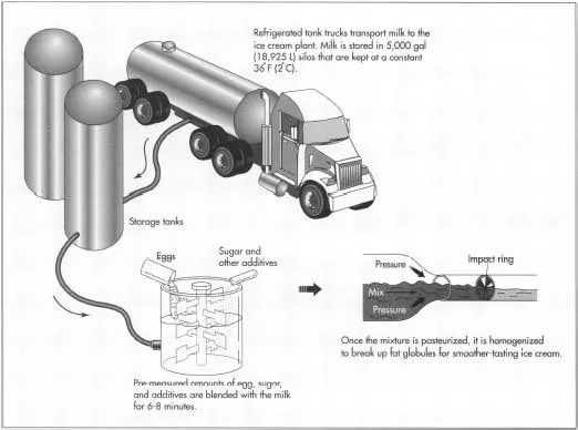 自制冰激凌需要些什么东西,震惊食物竟然是这样做出来的