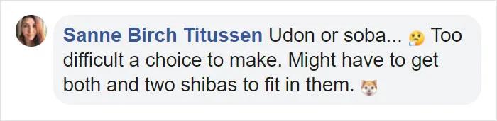 宜家小床被铲屎官们变成宠物床，日本网友：我“泡面杯床”不服