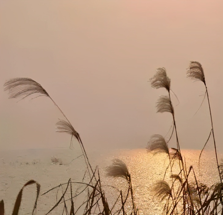 苏州东山西山包吃住农家乐推荐,苏州西山林屋洞附近包吃包住民宿