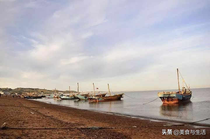 大连海鲜批发集市,大连海鲜最便宜的市场