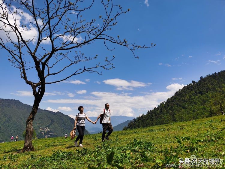 四川黑竹沟之谜,四川黑竹沟探险之旅