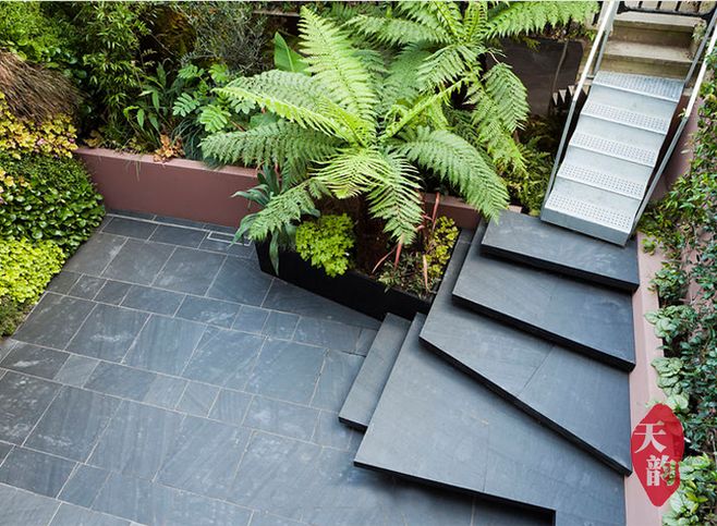 学习一刻！景观材料提升篇——新型石灰岩与常用木材种类！