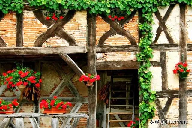 世界三大葡萄酒产区,世界上最有名的葡萄酒酿酒区