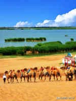 收藏各省老酒,收藏全国各地的牌子