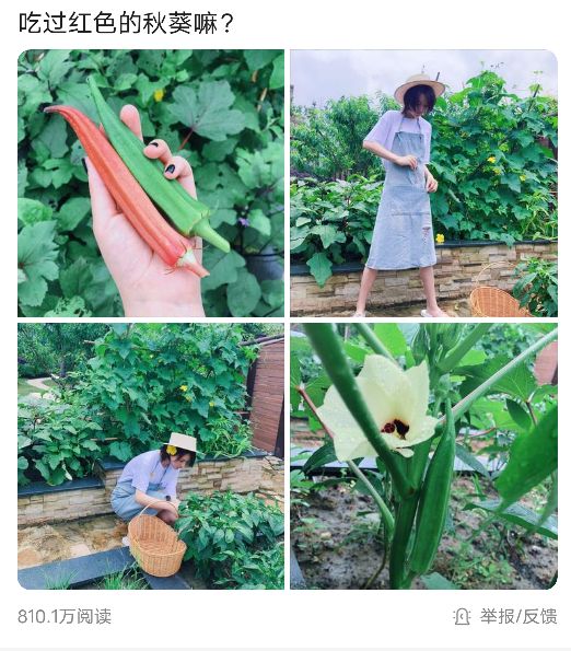 张馨予步入田园般生活,张馨予在田园的照片