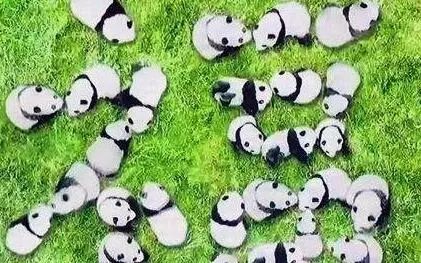 现在的熊出没大过年在哪里看,新年必看的熊出没