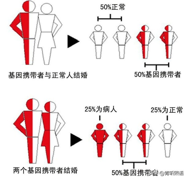 妇科医生教你如何备孕,妇科医生备孕知识