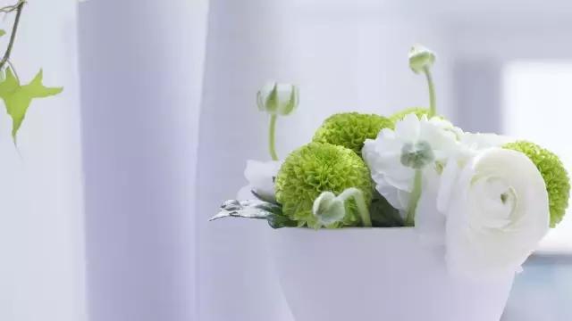 文学常识汇总app,文学常识汇总公务员考试