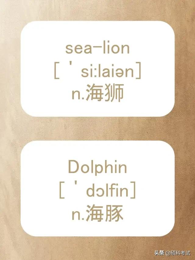 动物的英文拼写及音标,关于动物的单词及音标