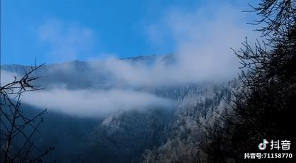 最美村姑李子柒,全网最火的网红李子柒