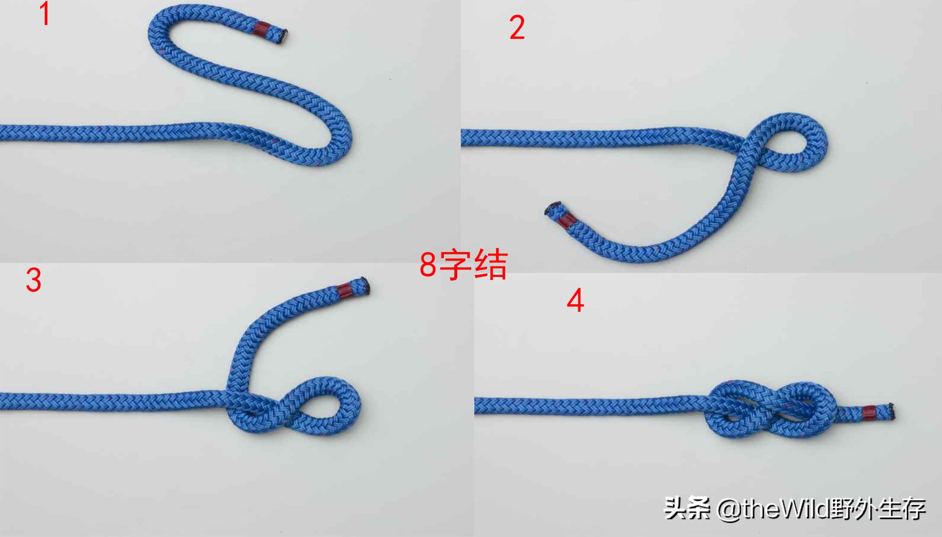 户外作业学会这几种绳结就够用了,户外安全绳结打法视频
