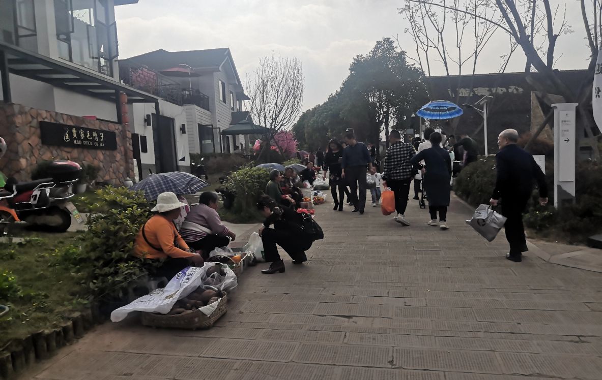 成都周边休闲圣地推荐,成都附近游玩推荐一日游