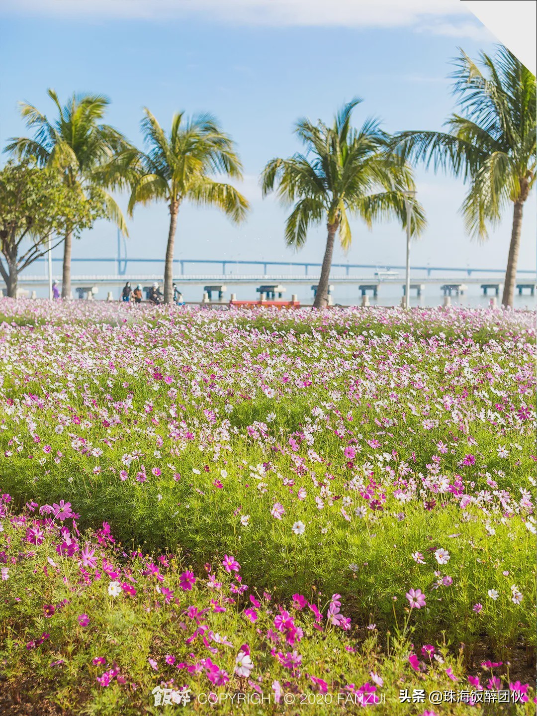 等疫情结束，珠海这些「小众打卡地」你一定要去！