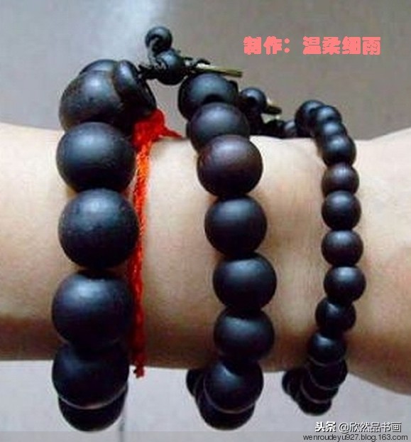 印度菩提子的种类,海南菩提子的种类