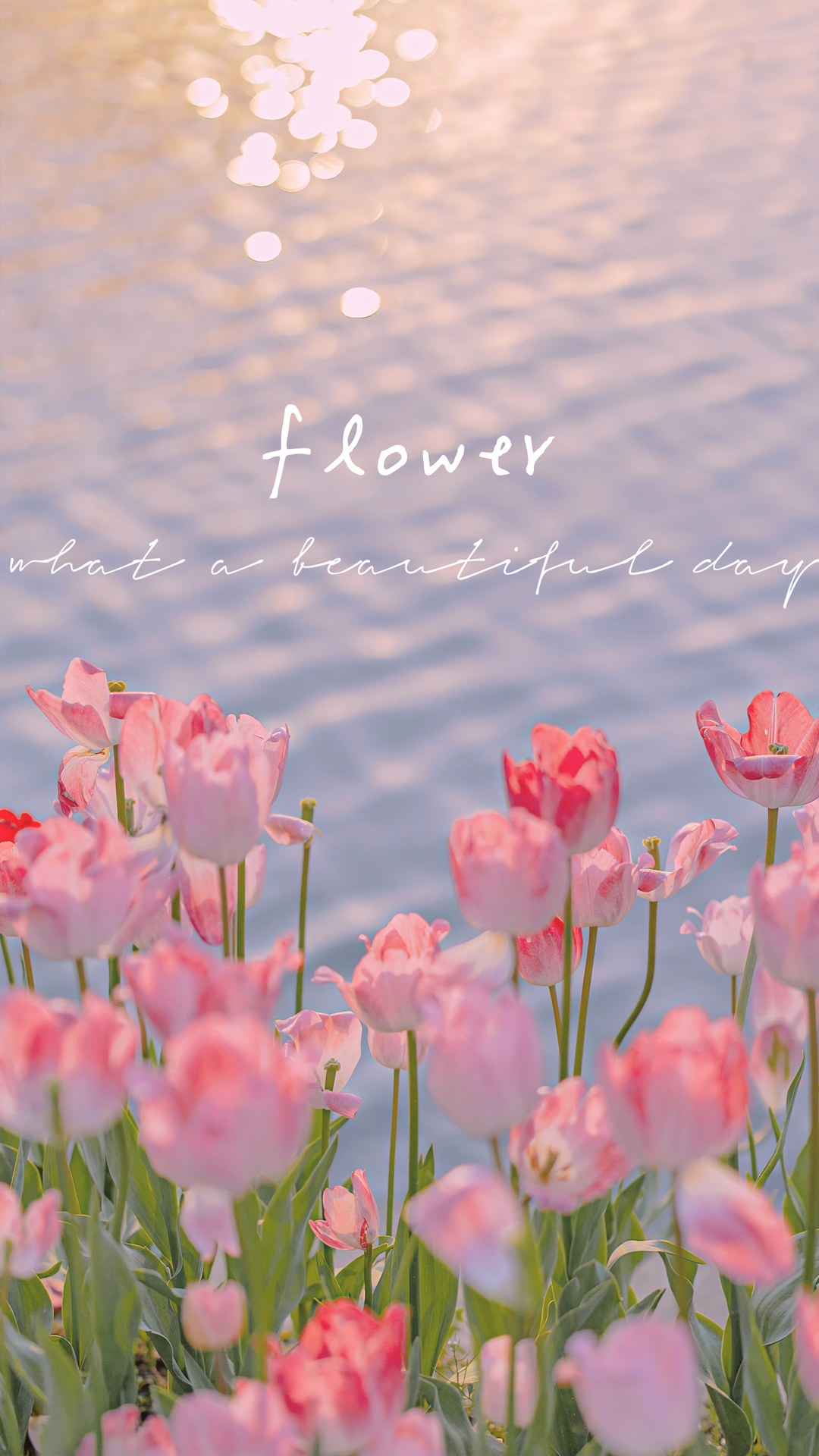 100张绝美壁纸海景,绝美壁纸夕阳窗户