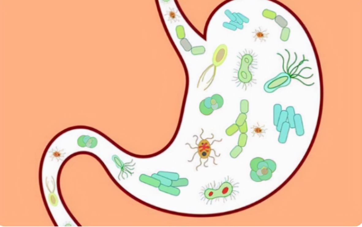 a型b型o型ab型哪种血型身体好,a型b型o型ab型哪种血型好