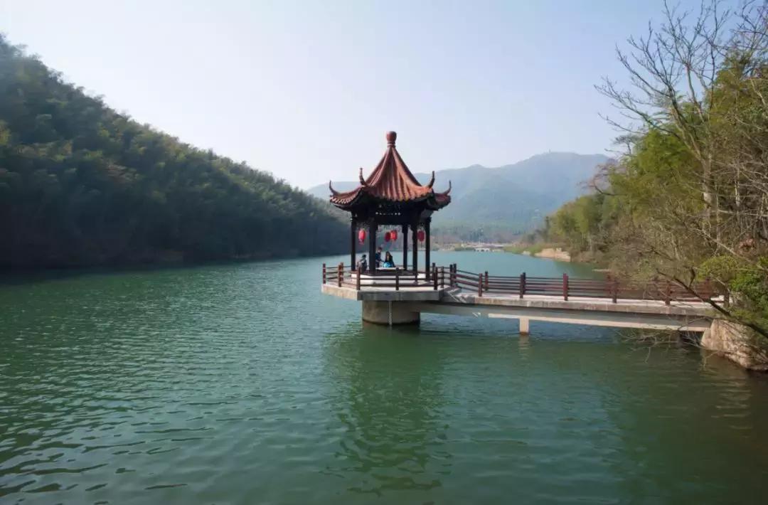 每逢节后胖三斤？是时候来宜兴竹海吸氧遛弯了！