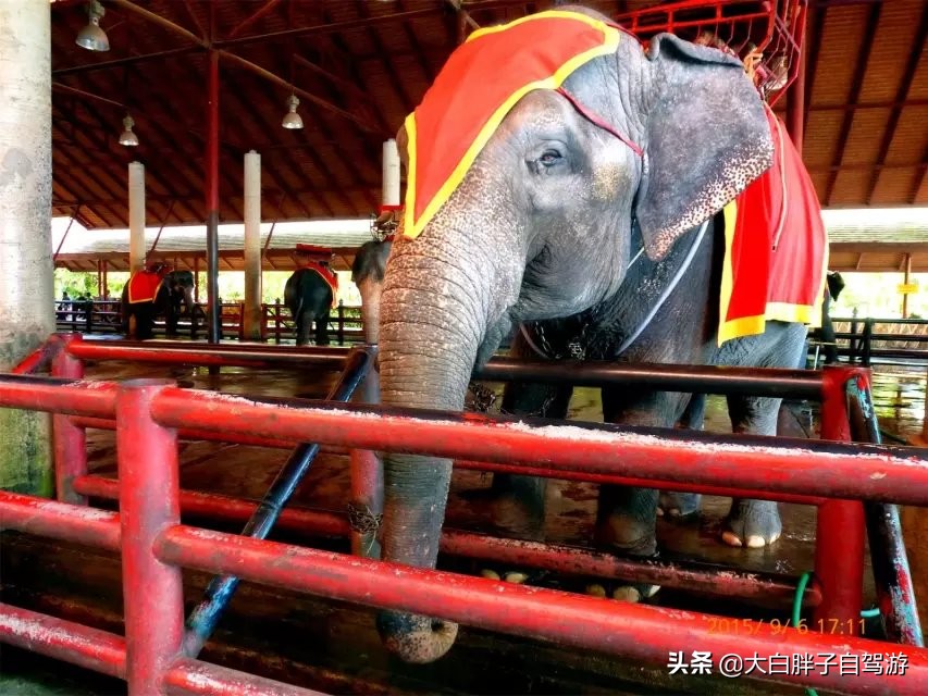 泰国风情之旅完整版,泰国风情记
