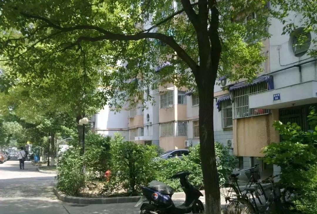 龙江县二手房降价趋势,龙江楼盘二手房