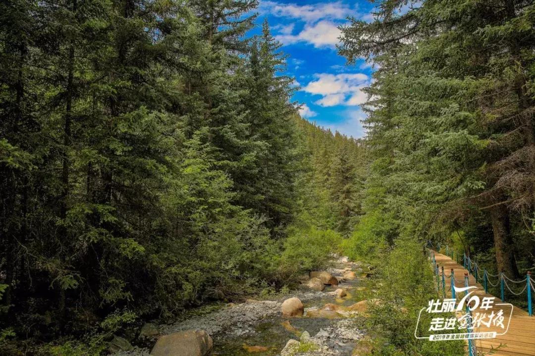 甘肃宝藏最多的地方,甘肃这座宝藏小城