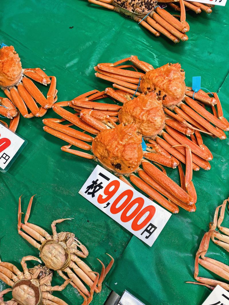 日本小众路线冬,日本冬天观光公路