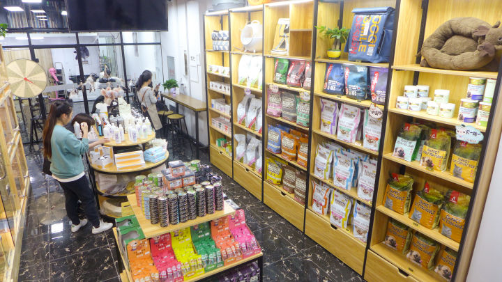 北京推荐的宠物店,北京宠物店推荐宠物港