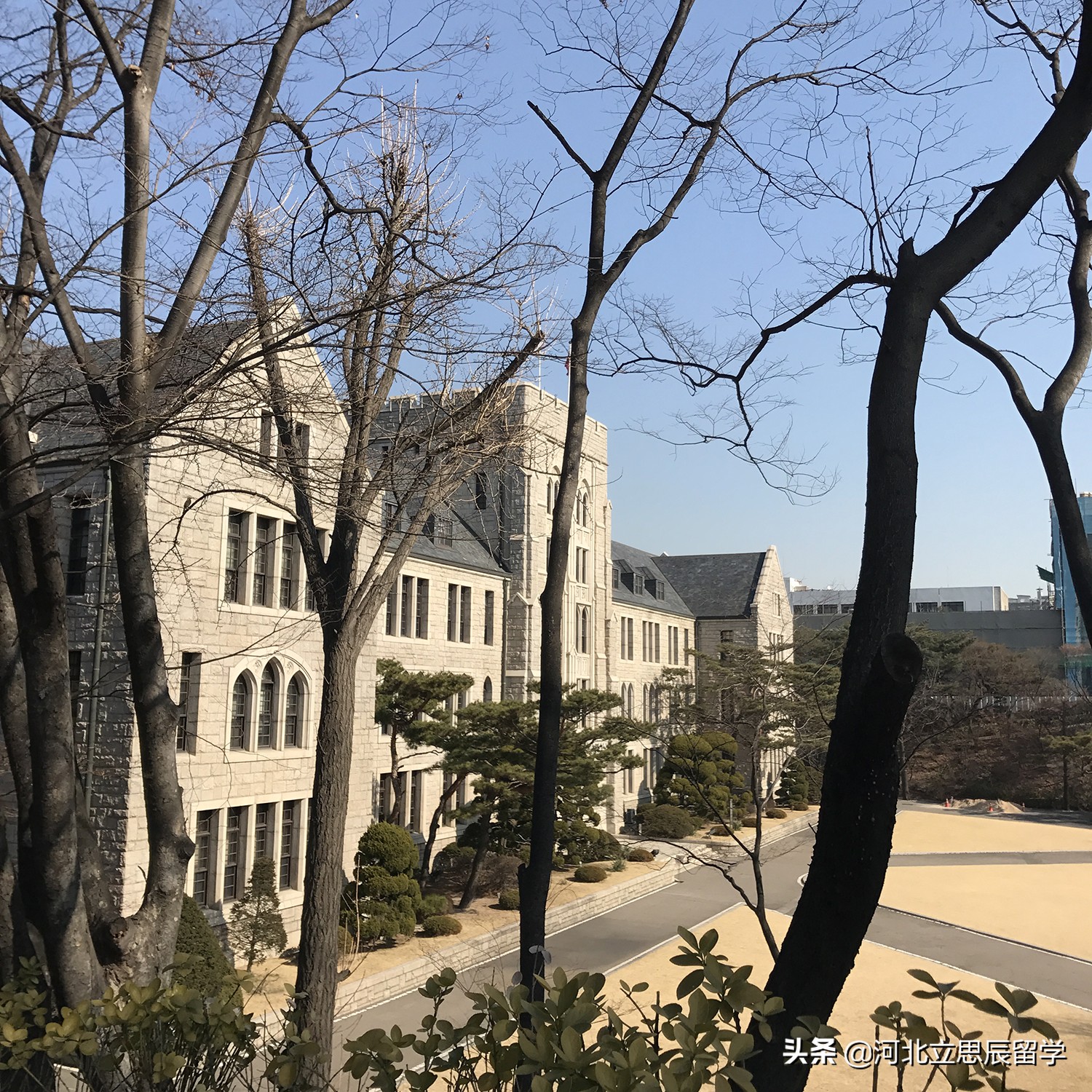 费用低廉去哪些国家留学,韩国留学费用一年多少人民币