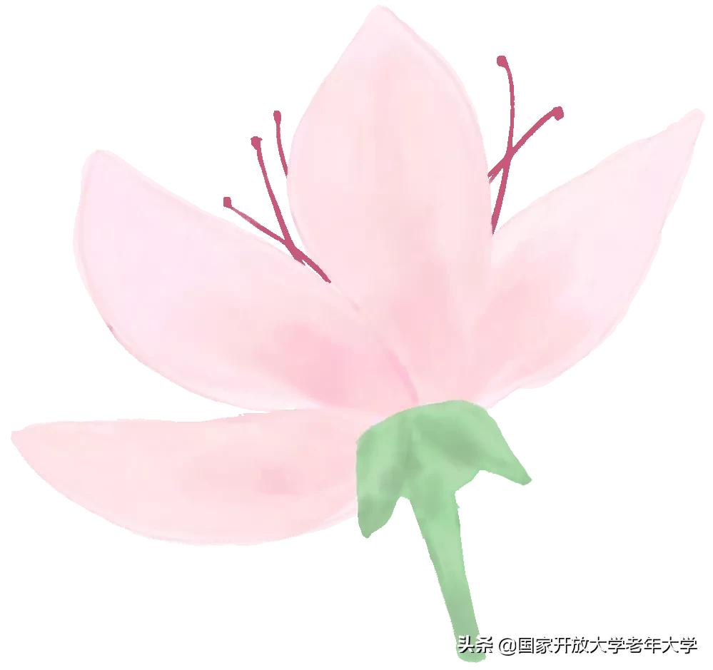 顶级纸艺花,纸艺花的故事