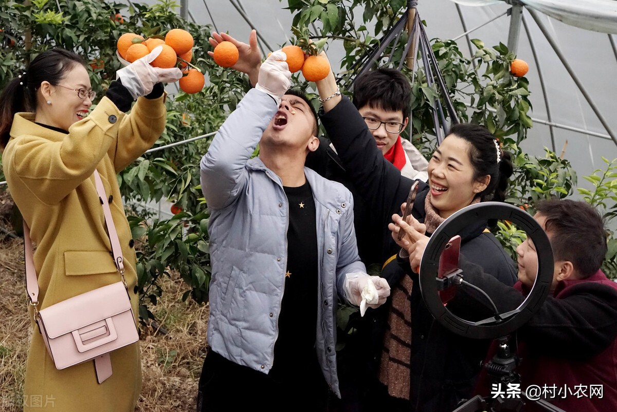 农村创业致富门路有哪些,返乡创业新农人有哪些创业项目