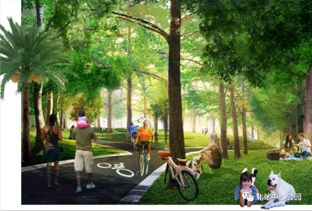 实拍深圳的一座公园,深圳有足球场的公园